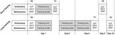 Brief Sensory Training Narrows the Temporal Binding Window and Enhances Long-Term Multimodal Speech Perception